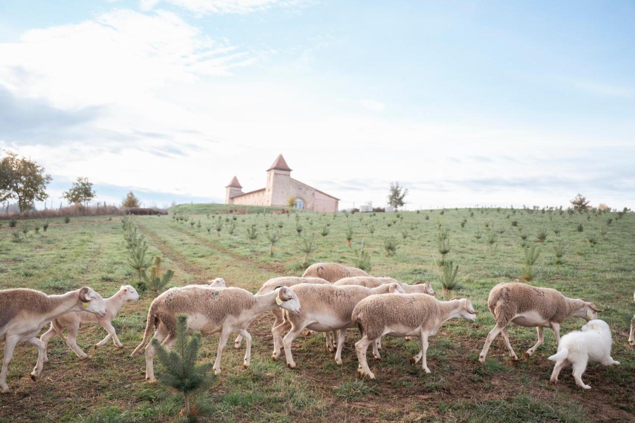 Готель Escons Domaine De Charme Saint-Sulpice-sur-Leze Екстер'єр фото
